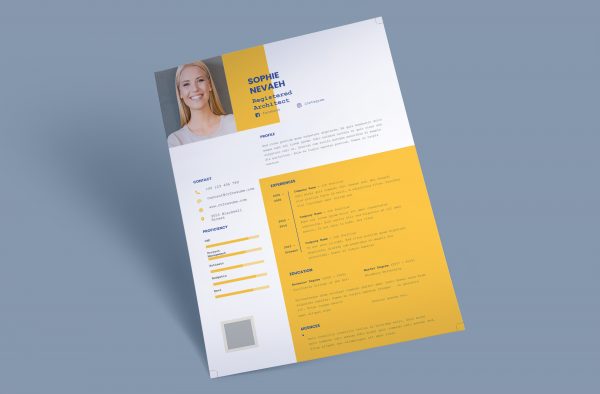 Original Resume Template Word Format