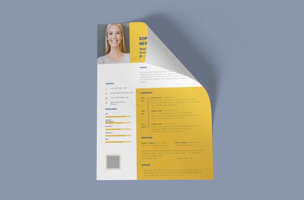 Original Resume Template Word Format