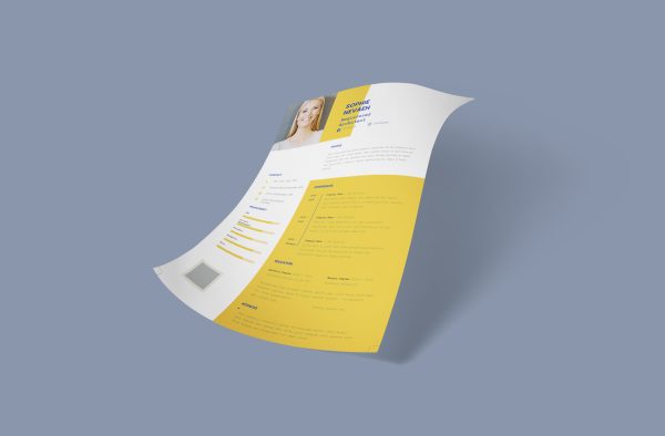 Original Resume Template Word Format