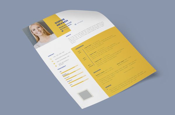 Original Resume Template Word Format