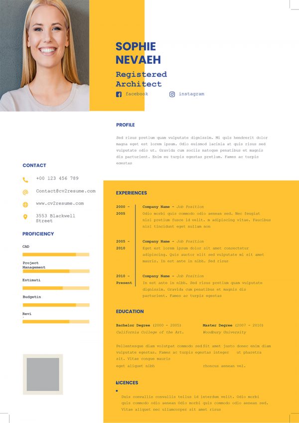 Original Resume Template Word Format